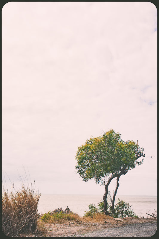 The Daintree, Australia 2016
